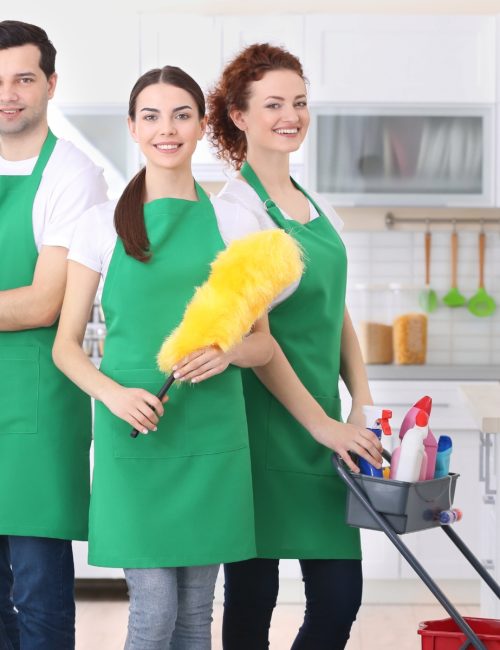 salt lake city cleaning service